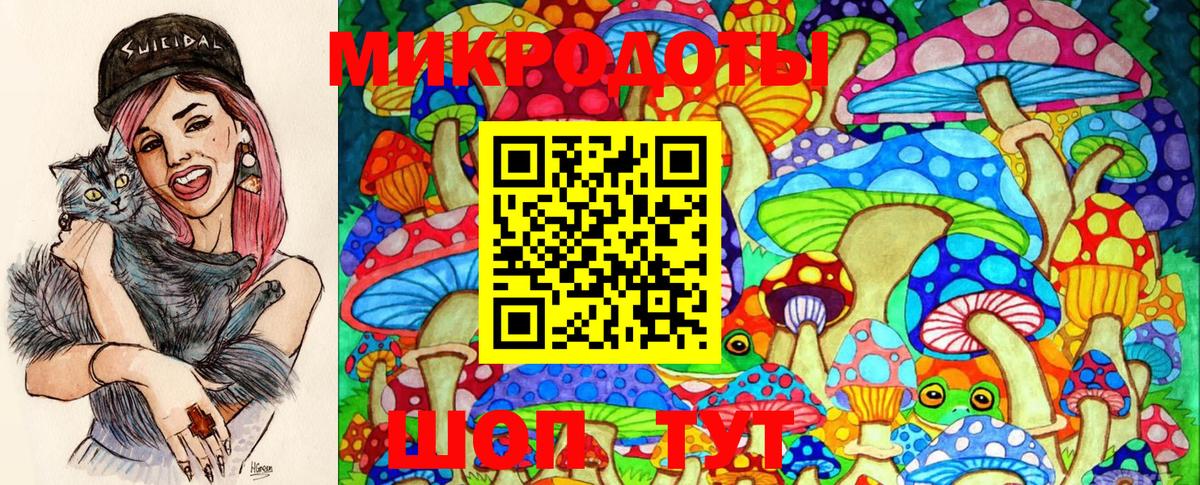 Каменск-Шахтинский  Псилоцибиновые грибы GOLDEN TEACHER  Вход с VPN  Галлюциногенные грибы GOLDEN TEACHER 